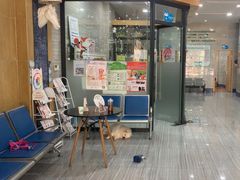 -瑞派名望志远动物医院·猫科·內科·异宠专科(直港大道店)