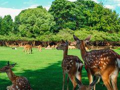 -南京维景国际大酒店(南京博物院店)