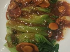 鲜鲍片扒生菜胆-东方印象大酒楼(拱北店)