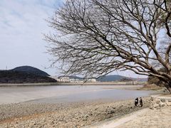 -平湖九龙山旅游度假区