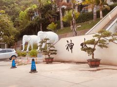 -华宁象鼻温泉旅游文化度假区