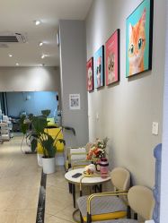 -洗脸猫·洗脸吧