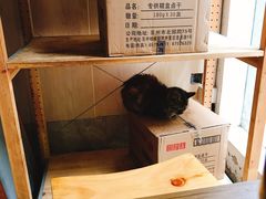 -鸡脚旮旯平江路店