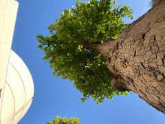 -二十一世纪饭店-游泳馆