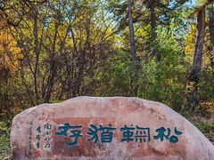 -长春市南湖公园