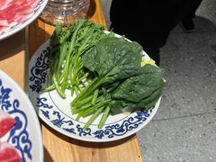 -东镇老火锅(长春路首店)