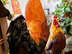 -食德喜·阳山鸡王食研基地