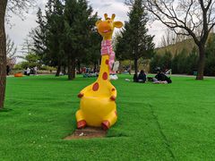 -北京西山国家森林公园