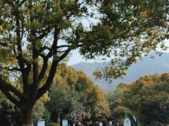 -惠山国家森林公园