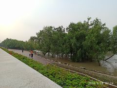 -宝安西湾红树林湿地公园