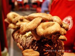 -谭鸭血老火锅(漳州路店)