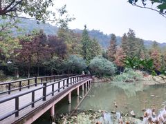 -八卦田遗址公园
