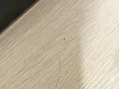 -华艺酒店(文化宫地铁站店)