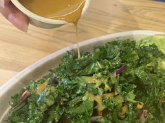 -油梨树AVOCADO TREE(嘉里中心店)