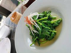 火丝银芽豆苗-江南雅厨(李公堤店)