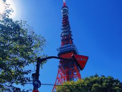 -东京塔海贼王主题公园
