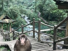 -峨眉山风景名胜区