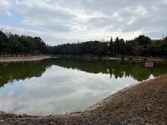 -象山森林公园
