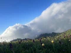 -秦岭风景区
