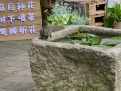 -七彩云南古滇温泉山庄