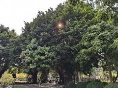 -西湖公园(鼓楼区)