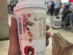 -茶颜悦色(五一里1号口店)