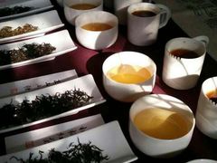 -养心斋涵信茶艺茶道培训