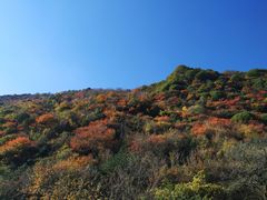 -少华山国家森林公园