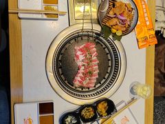 -杨记齐齐哈尔烤肉(总店)