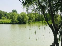 -七桥瓮公园