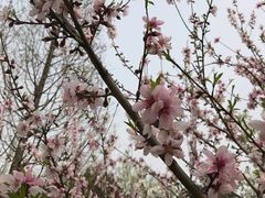 -白塘生态植物园