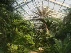 -国家植物园南园