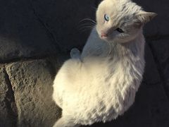 -西宁南禅寺-法幢寺