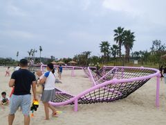-九龙湖公园