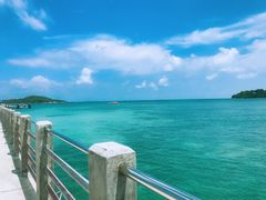 -珊瑚岛
