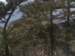 -九鼎铁刹山风景区
