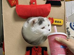 -麦当劳(展览路店)