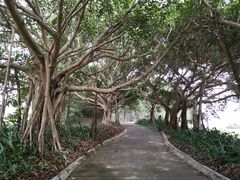 -美视五月花高尔夫度假酒店(滨海西店)