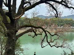 -蒋氏故居