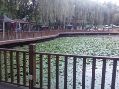 -巴山一绝烤全羊(三圣乡刘家花园店)