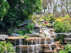 -东莞植物园