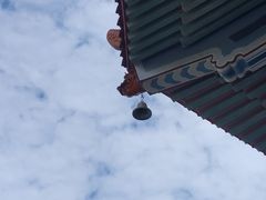 -广东圆玄道观