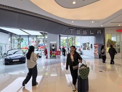 -TESLA 特斯拉(广州天环广场体验店)