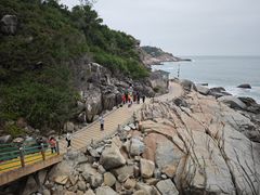 -广东惠东海龟国家级自然保护区