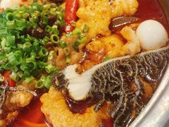 -眉州东坡(博雅店)
