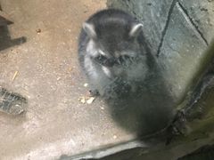 -白鹿仓冰雪海洋世界
