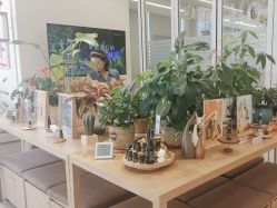 -dōTERRA多特瑞精油生活馆