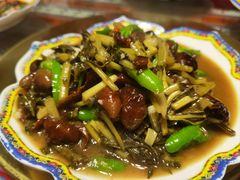 -阿拉呛舍藏餐