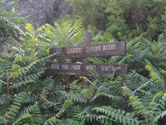 -原山国家森林公园