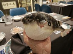 -肆月河豚·新淮扬(金融街店)